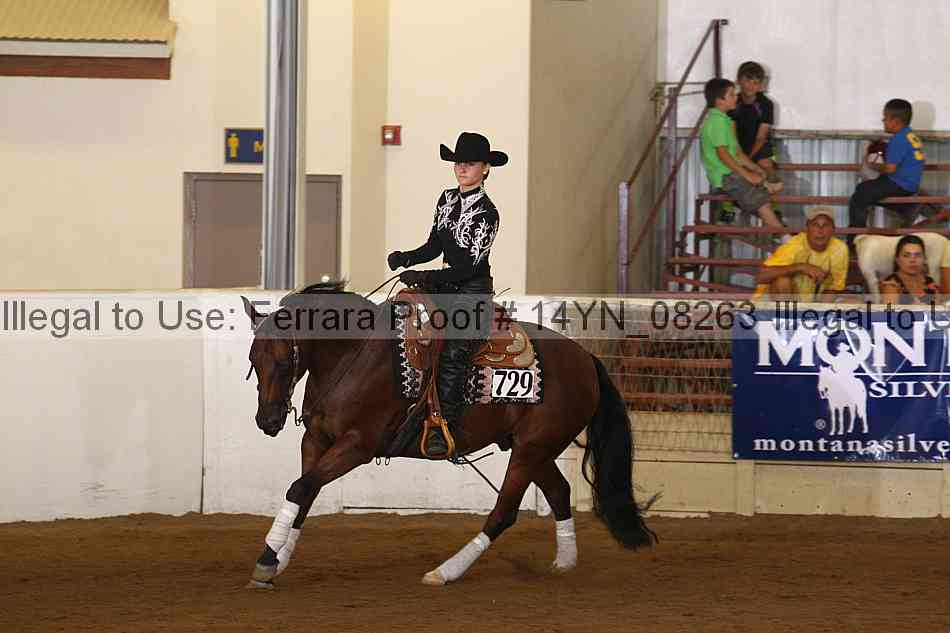 Proof 14yn_08263