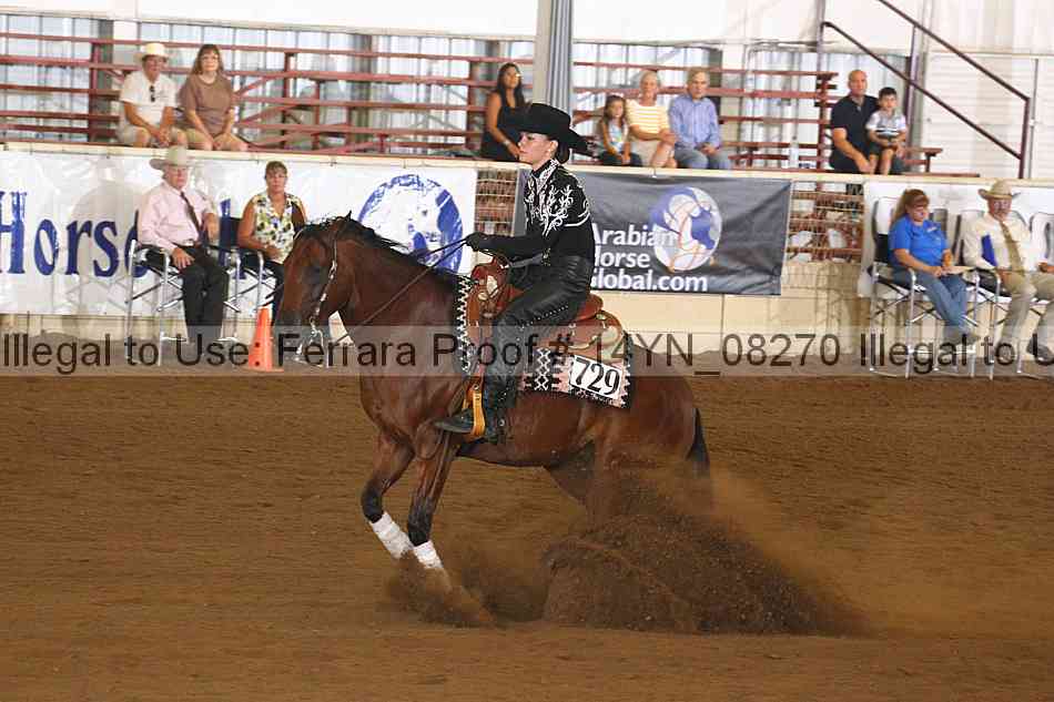 Proof 14yn_08270