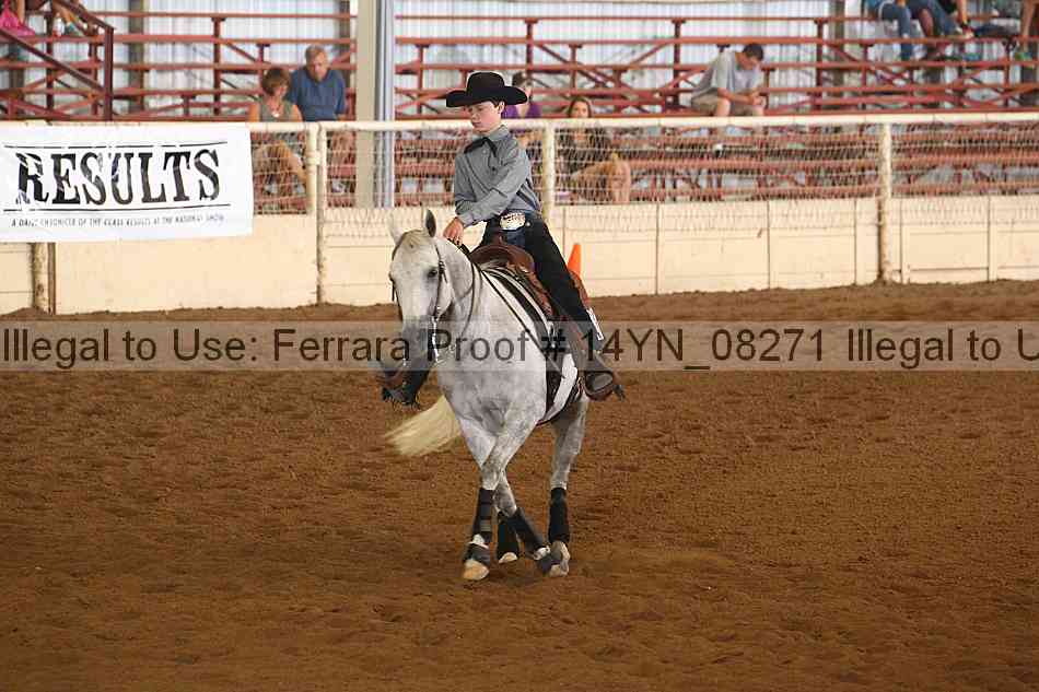 Proof 14yn_08271