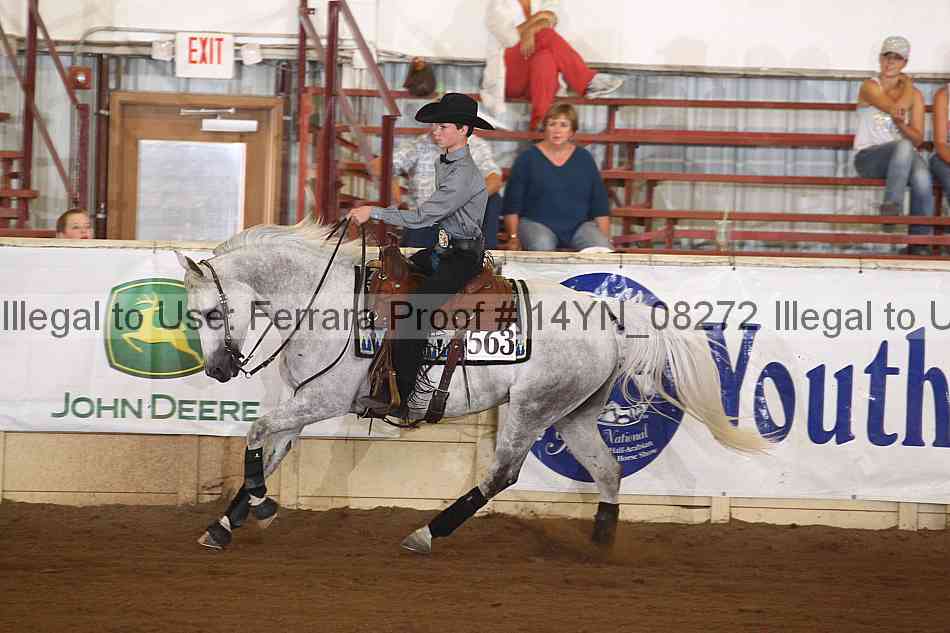 Proof 14yn_08272