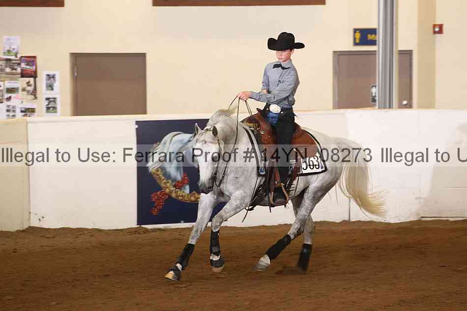 Proof 14yn_08273