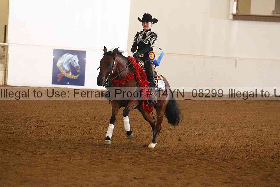 Proof 14yn_08299