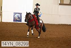 14yn_08299 proof