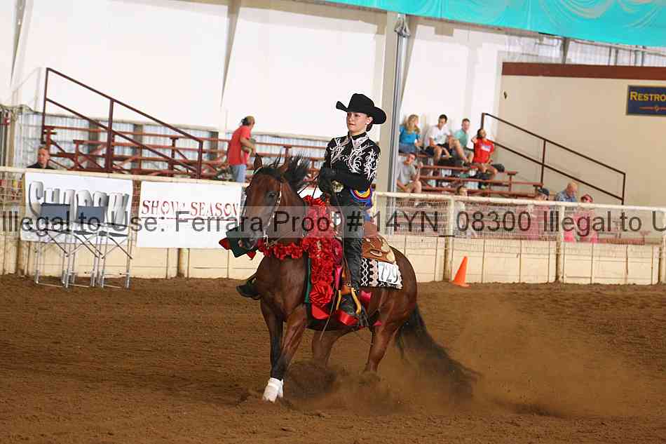 Proof 14yn_08300