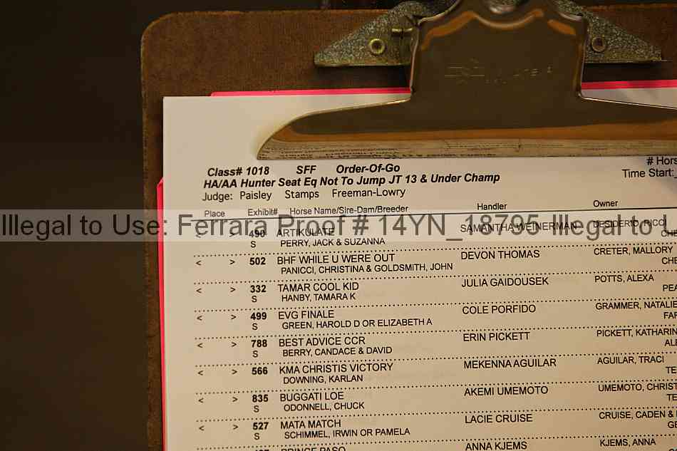 Proof 14yn_18795