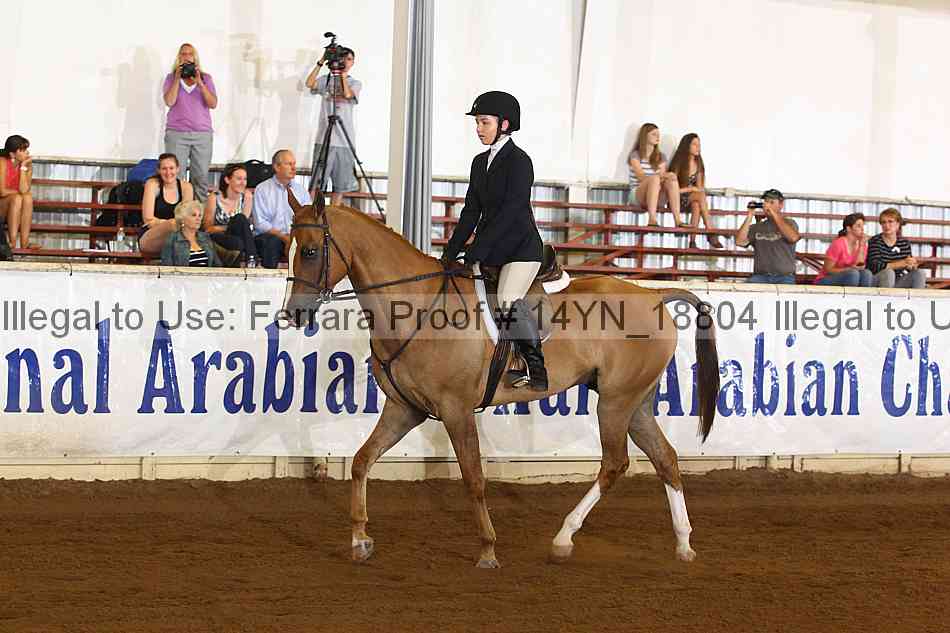 Proof 14yn_18804