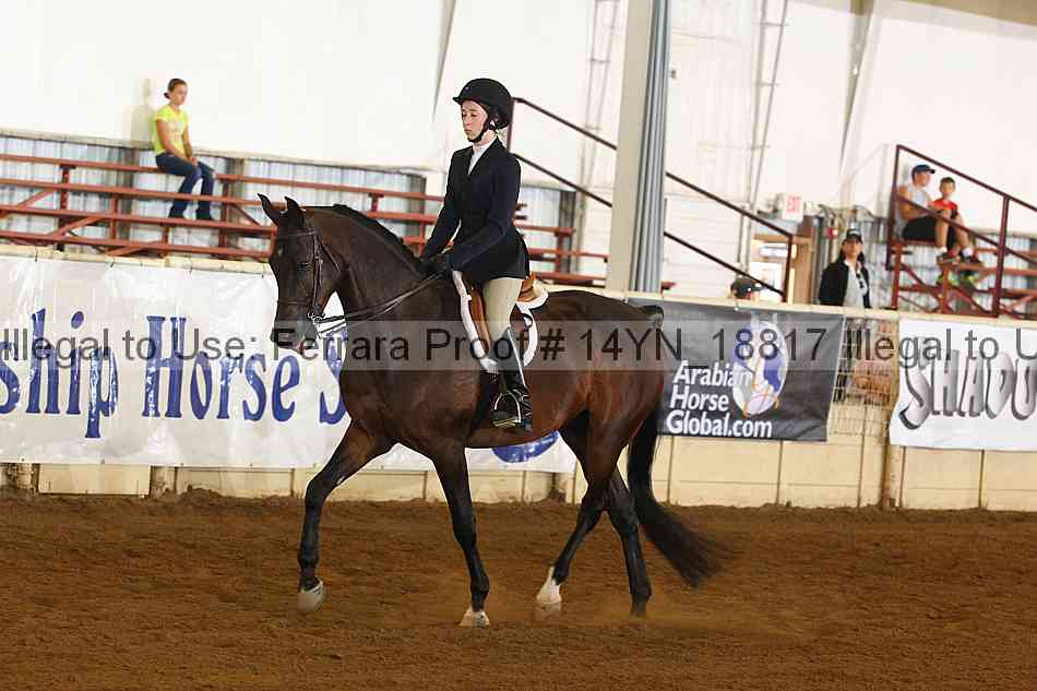 Proof 14yn_18817