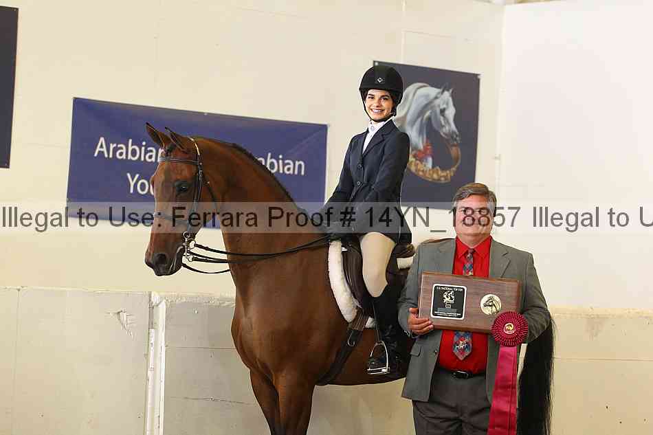 Proof 14yn_18857