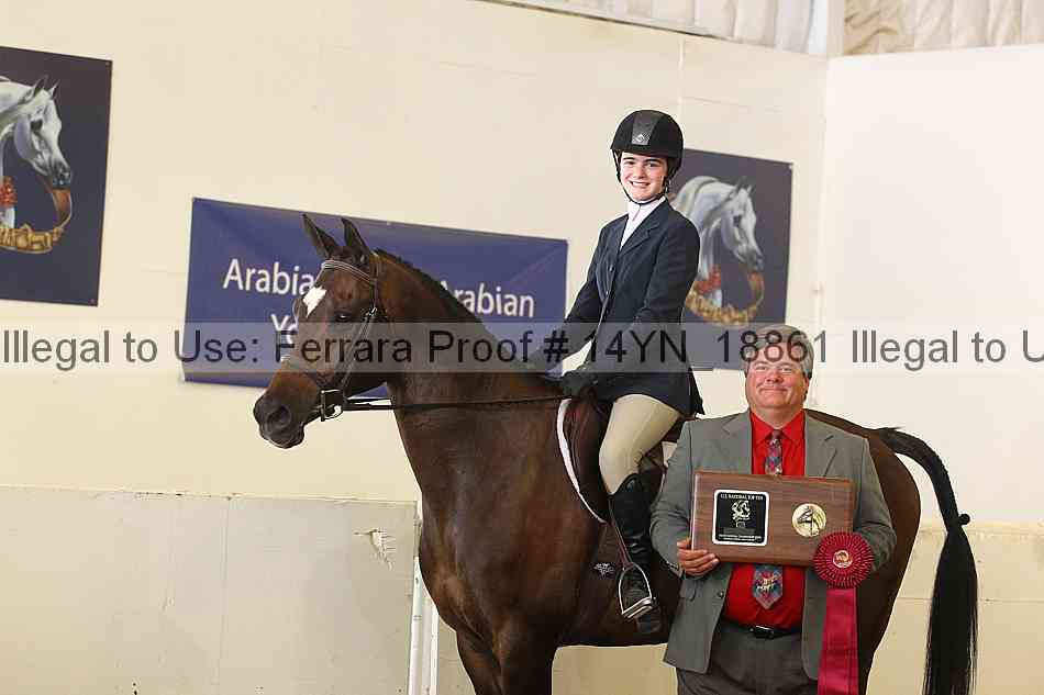 Proof 14yn_18861