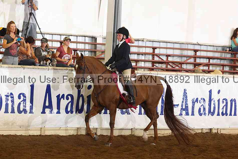 Proof 14yn_18892