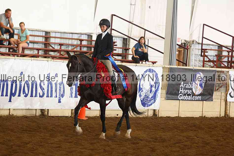 Proof 14yn_18903