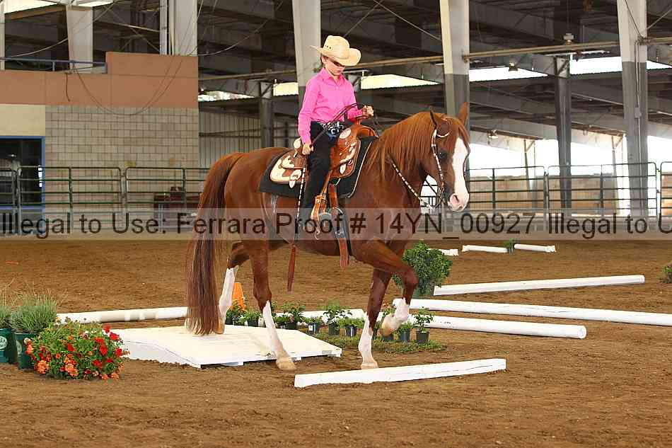 Proof 14yn_00927