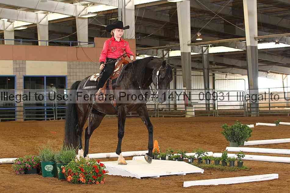 Proof 14yn_00931