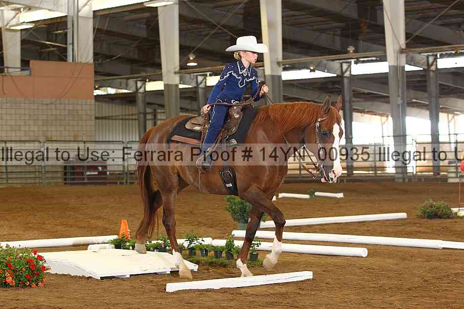 Proof 14yn_00935