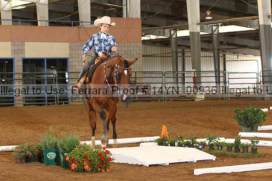 Proof 14yn_00936