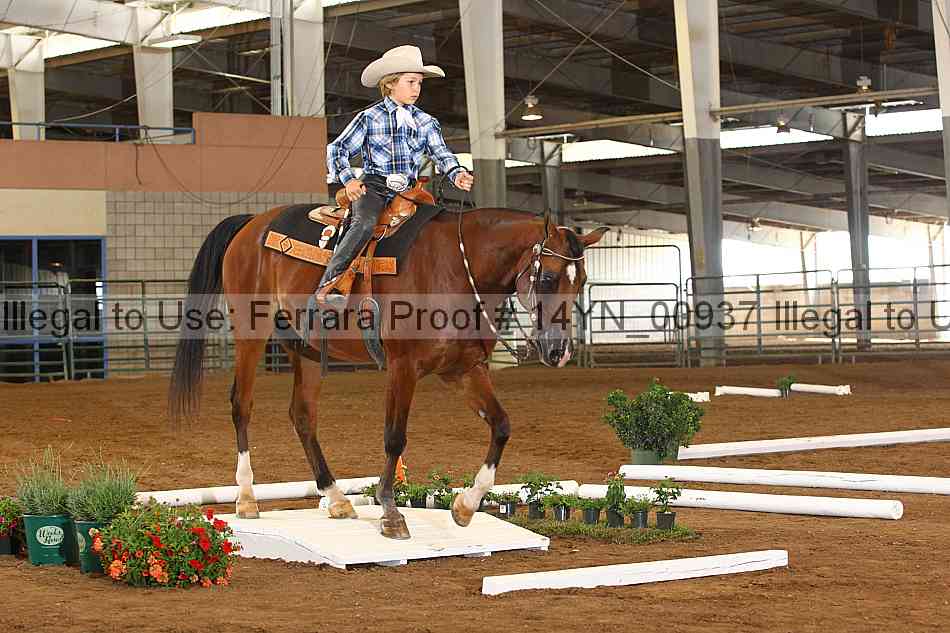Proof 14yn_00937