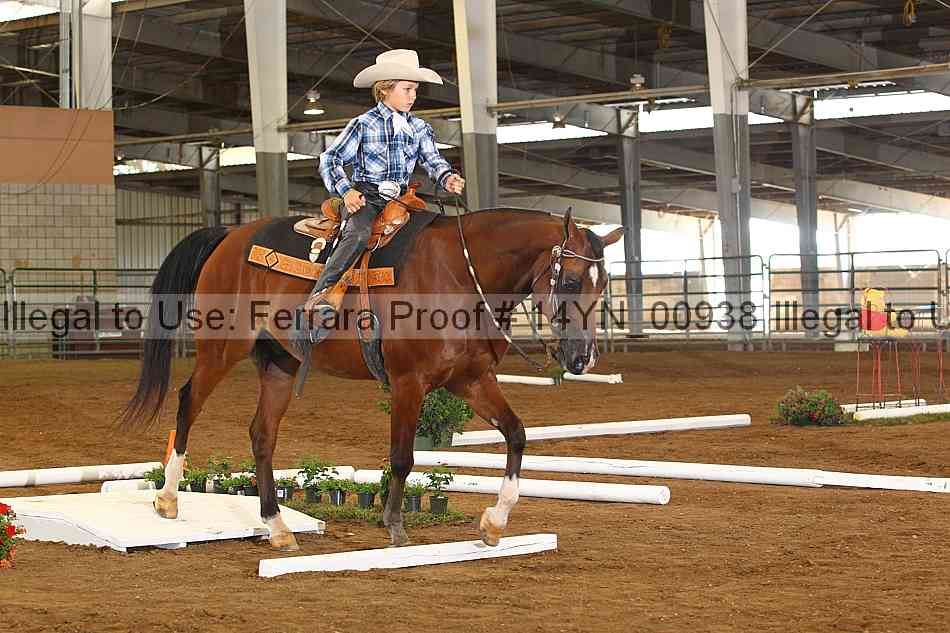 Proof 14yn_00938
