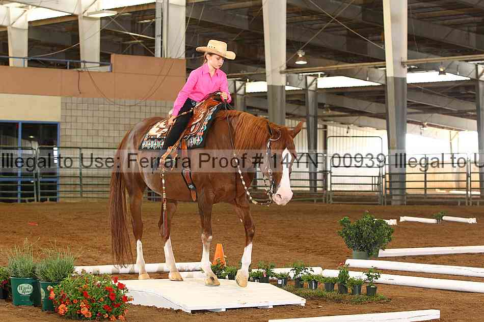 Proof 14yn_00939