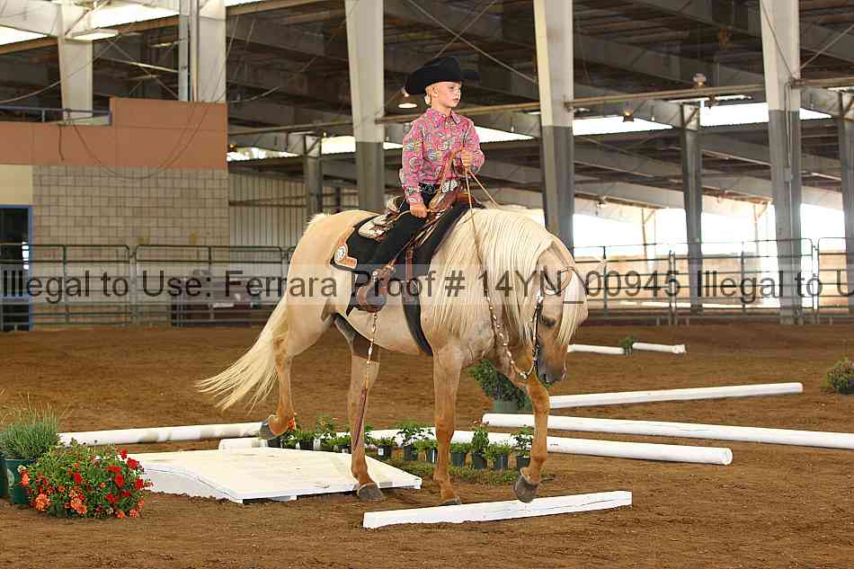 Proof 14yn_00945
