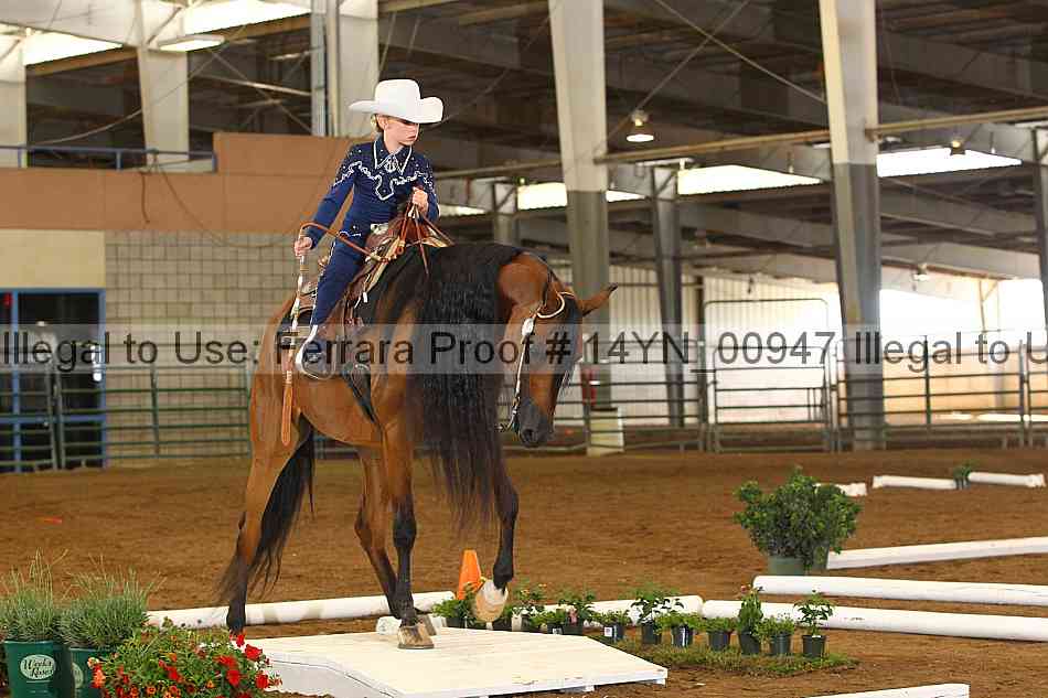 Proof 14yn_00947