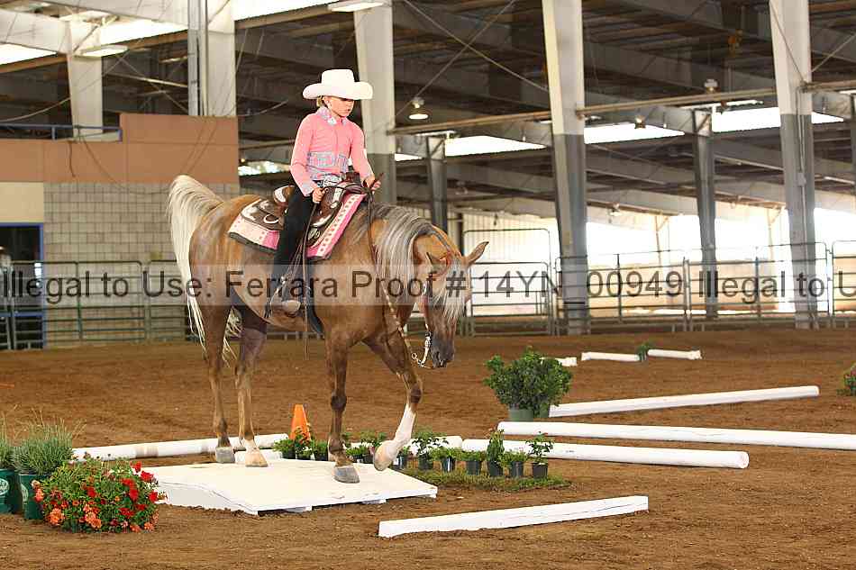 Proof 14yn_00949