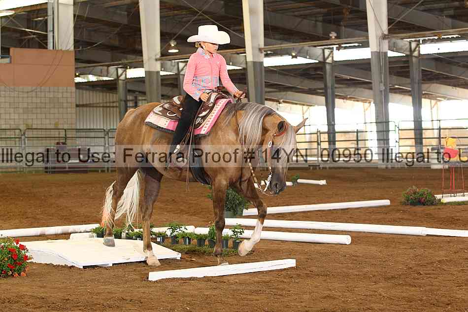 Proof 14yn_00950