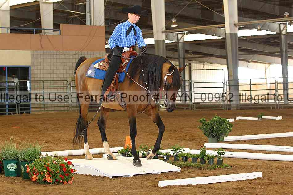 Proof 14yn_00952