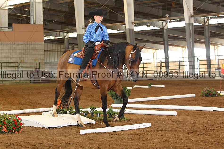 Proof 14yn_00953