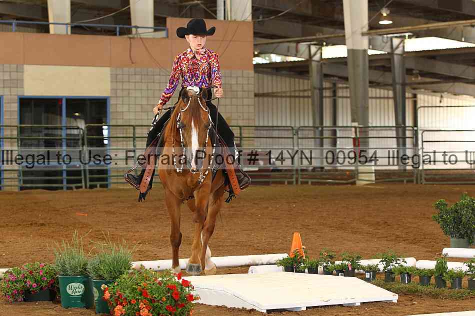 Proof 14yn_00954