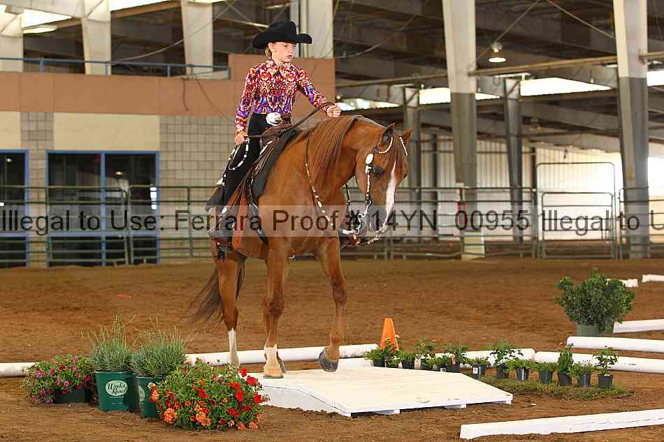 Proof 14yn_00955