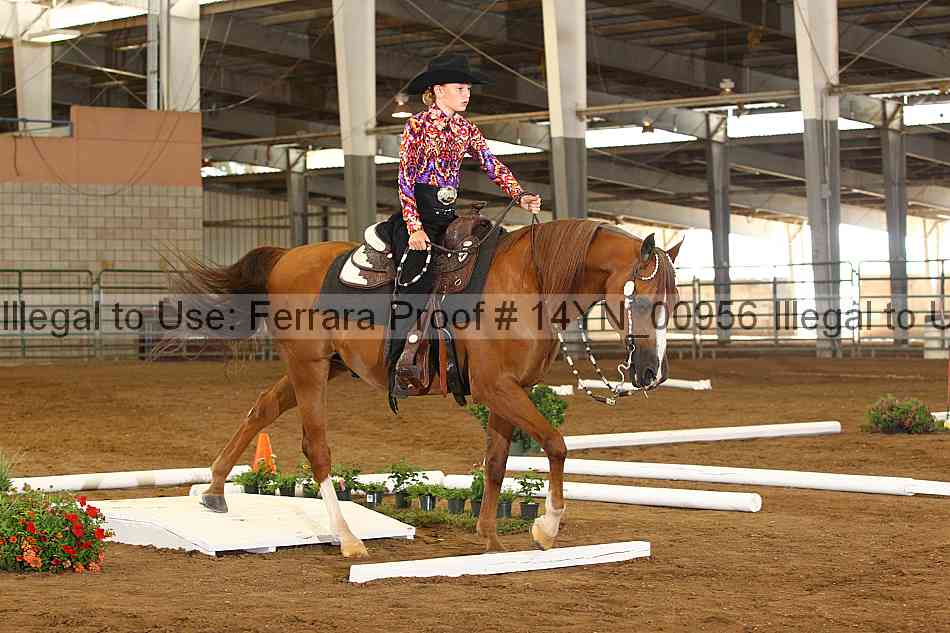 Proof 14yn_00956