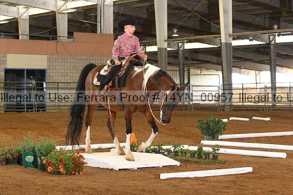 Proof 14yn_00957