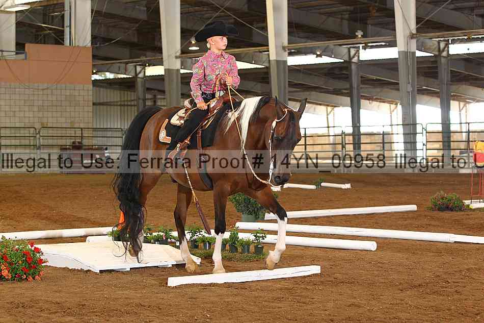 Proof 14yn_00958