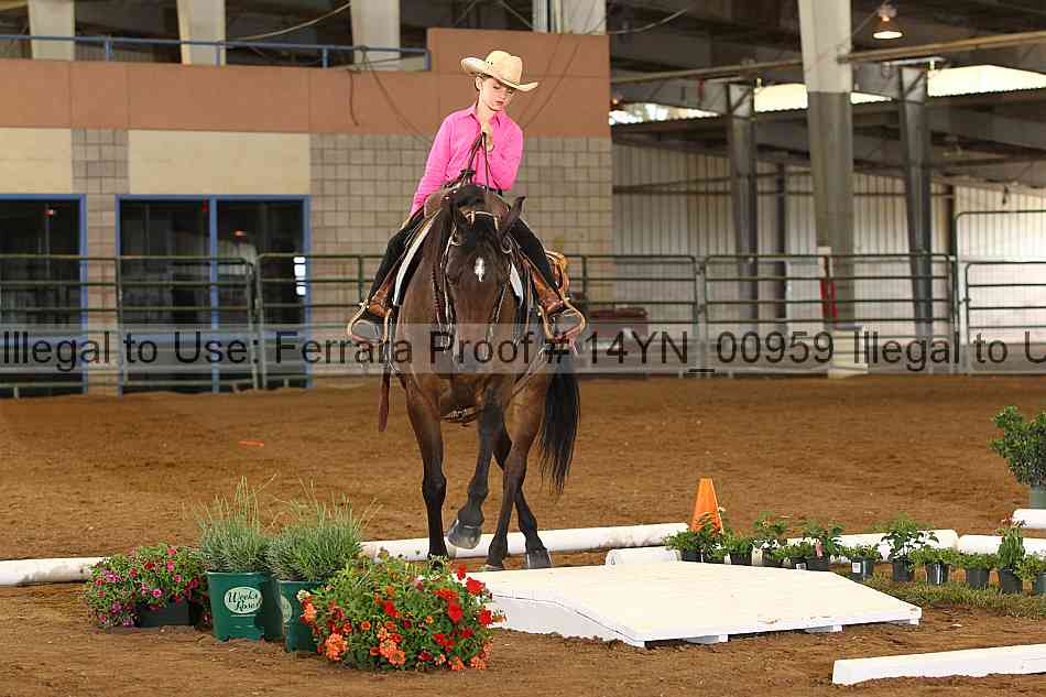 Proof 14yn_00959