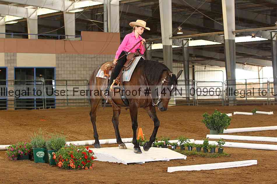 Proof 14yn_00960