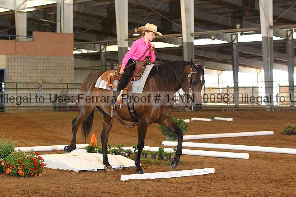 Proof 14yn_00961