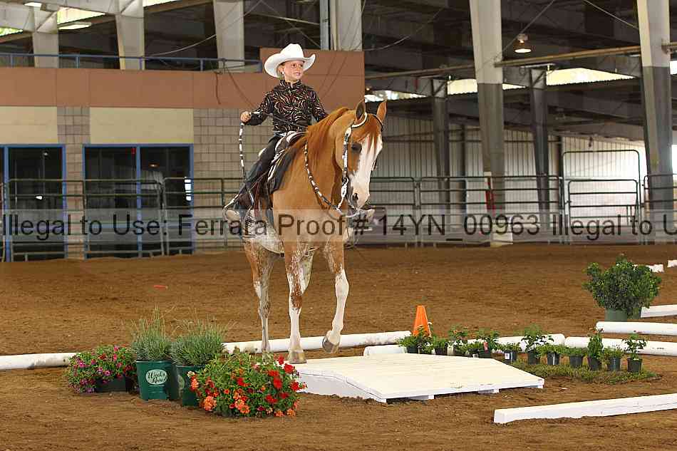 Proof 14yn_00963