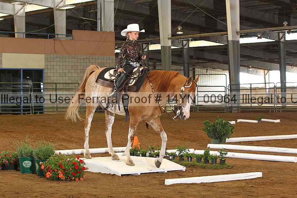 Proof 14yn_00964