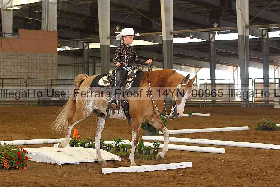 Proof 14yn_00965