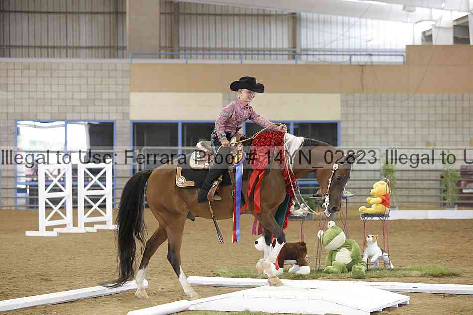 Proof 14yn_02823