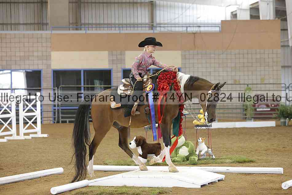 Proof 14yn_02824