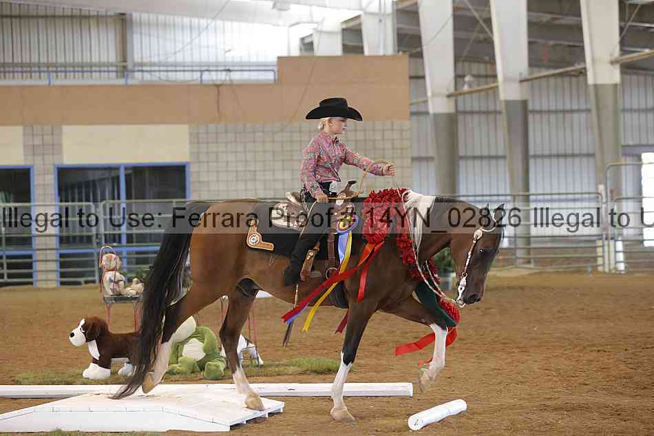 Proof 14yn_02826