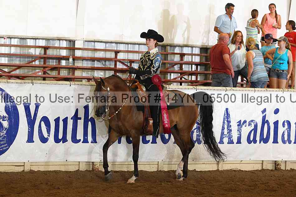 Proof 14yn_05500