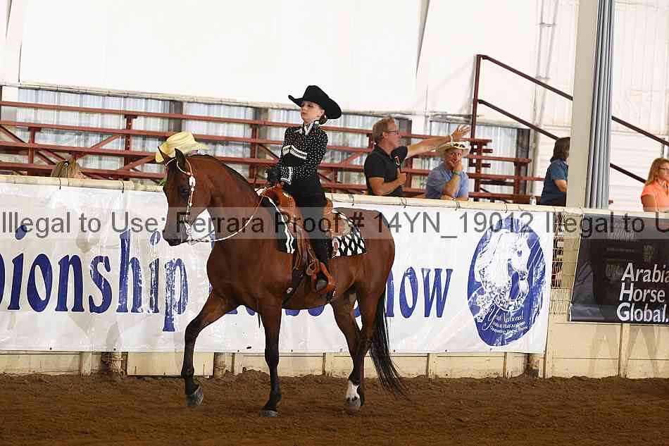 Proof 14yn_19012