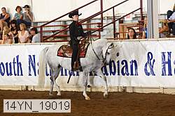 14yn_19019 proof