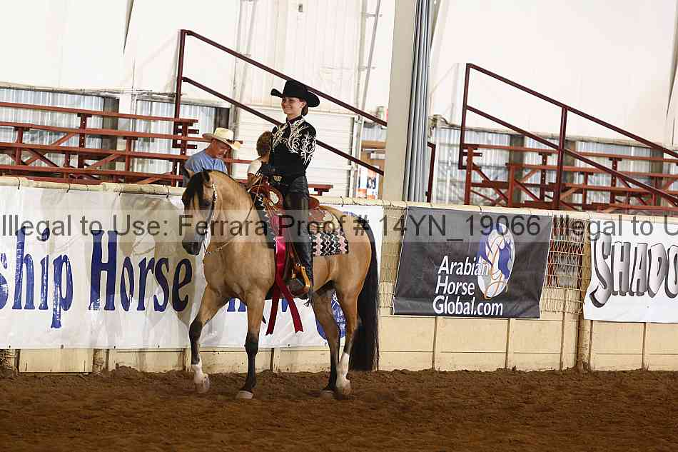 Proof 14yn_19066
