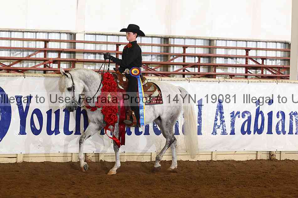 Proof 14yn_19081