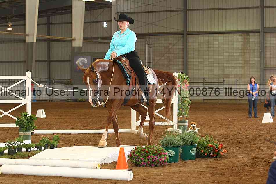 Proof 14yn_00876