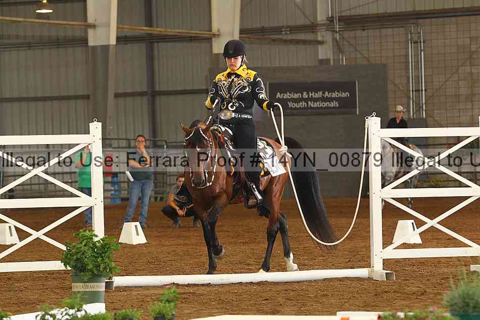 Proof 14yn_00879