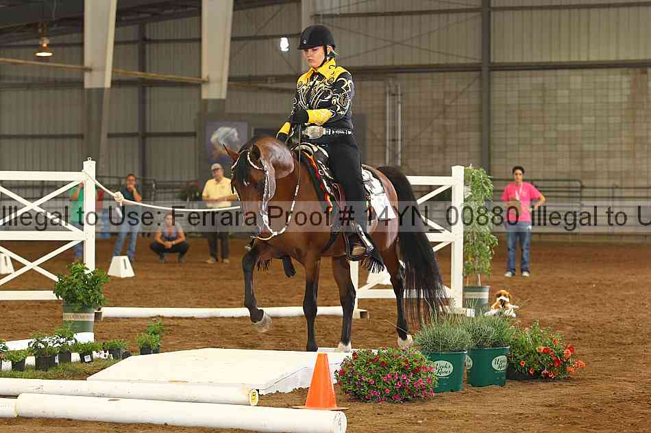 Proof 14yn_00880